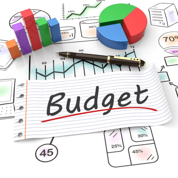 Prepare and Monitor Budgets