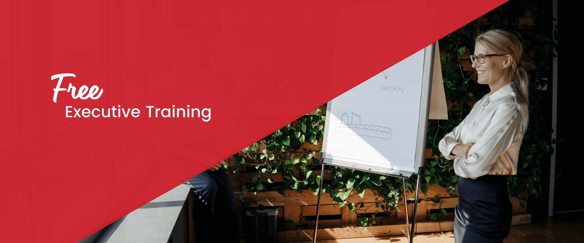 Free executive training